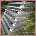 Material de ferro Laye Cage For Quail In India For Sale